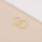 Minimalist 18K Gold Plated Small Hoop Earrings E133