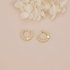 Dainty Gold Twisted Huggie Hoop Earrings E118